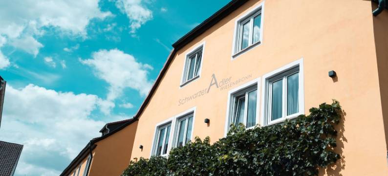 施瓦泽尔阿德勒兰德酒店(Landhotel Und Weingasthof Schwarzer Adler)图片