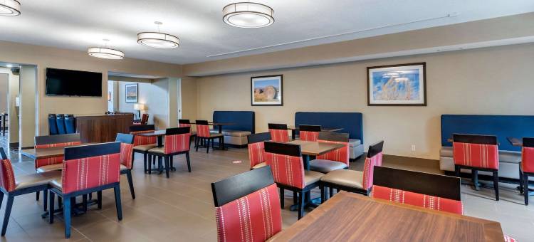 奥本I-69附近舒适套房酒店(Comfort Suites Auburn Near I-69)图片