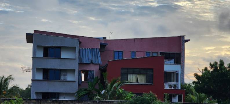 Aleri的花园(Aleri's Garden)图片