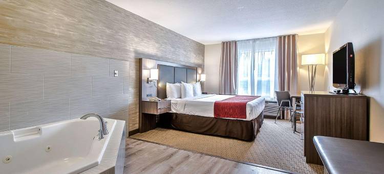 南部舒适酒店(Comfort Inn & Suites South)图片