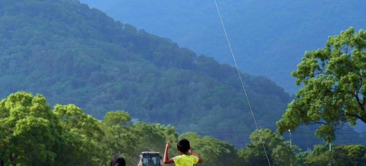 台湾糖业股份有限公司池上牧野渡假村图片
