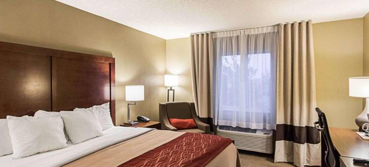 东维奇塔舒适酒店(Comfort Inn East)图片