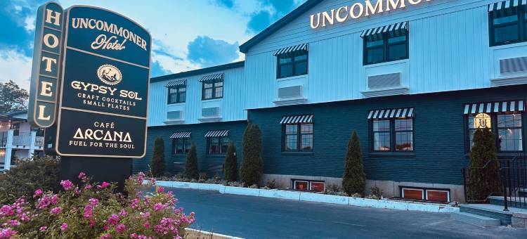 潮水酒店(Uncommoner Hotel by Reverie Boutique Collection)图片