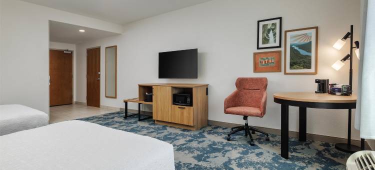 查塔努加西/望山欢朋酒店(Hampton Inn Chattanooga-Lookout Mountain)图片