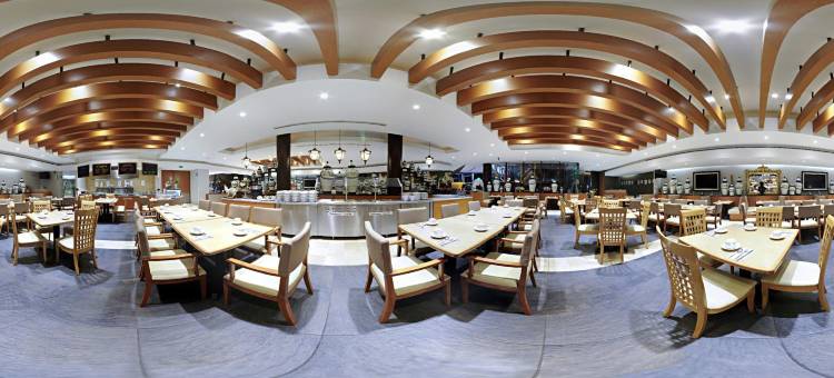 伊拉普阿托假日酒店(Holiday Inn Irapuato)图片