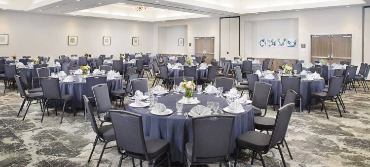 希尔顿花园旅馆-达拉斯南阿林顿(Hilton Garden Inn Dallas/Arlington South)图片