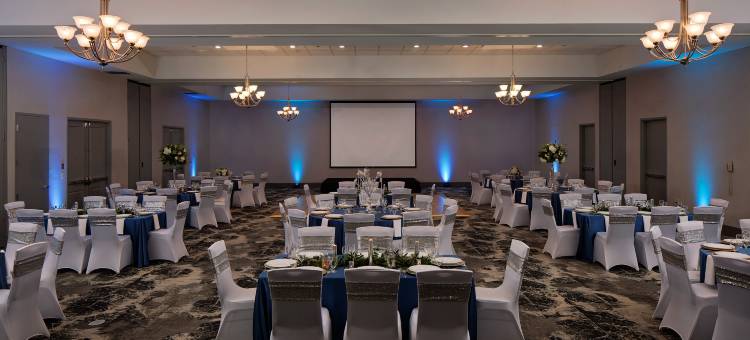 DFW机场南希尔顿花园酒店(Hilton Garden Inn DFW Airport South)图片