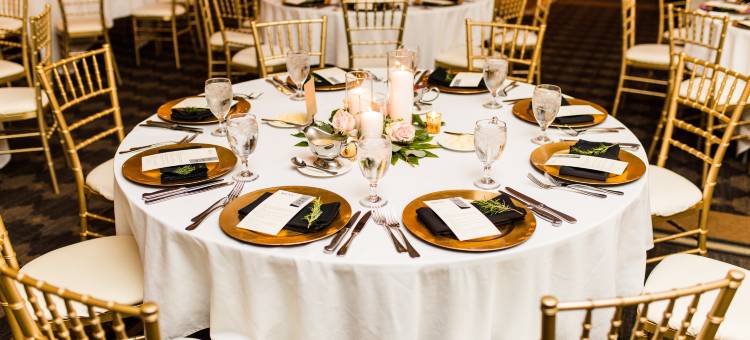 希尔顿花园旅馆-托雷多佩里斯堡(Hilton Garden Inn Toledo Perrysburg)图片