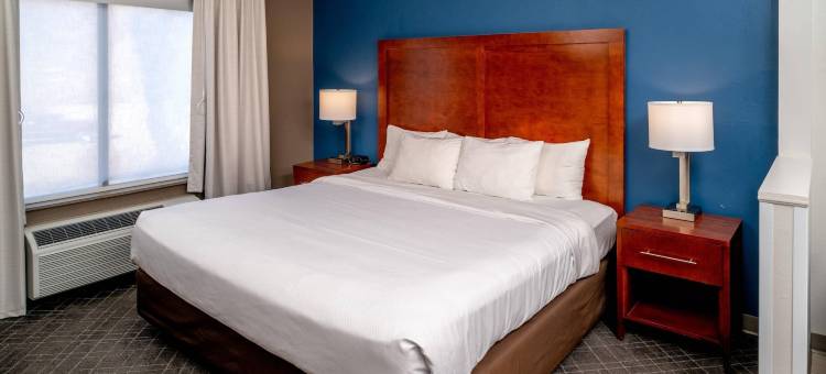 普雷斯顿斯堡西舒适套房酒店(Comfort Suites Prestonsburg West)图片