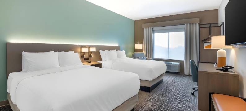 纳什维尔舒适酒店及套房(Comfort Inn & Suites)图片