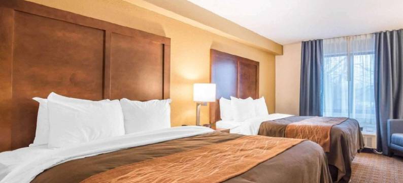 布拉特尔伯勒 I-91 舒适套房酒店(Comfort Inn & Suites Brattleboro I-91)图片