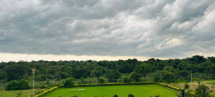 河畔度假村(River Resort)图片