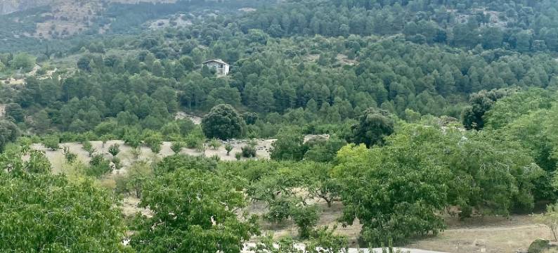 Villa in Torres with Pool near Sierra Magina图片