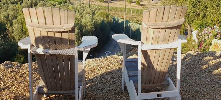 Villa in Provence with Pool and Vineyard Views图片