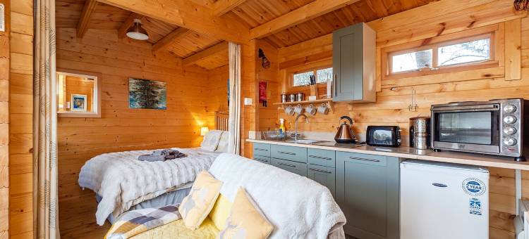 Pet-friendly chalet in Surlingham, No deposit图片