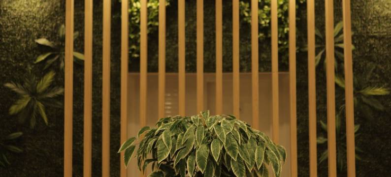 Elite World GO 伊内高尔(Elite World GO İnegöl)图片