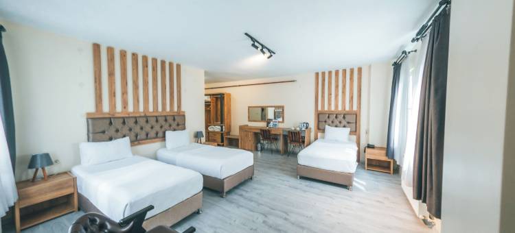 格兰德464酒店(Grand 464 Otel)图片