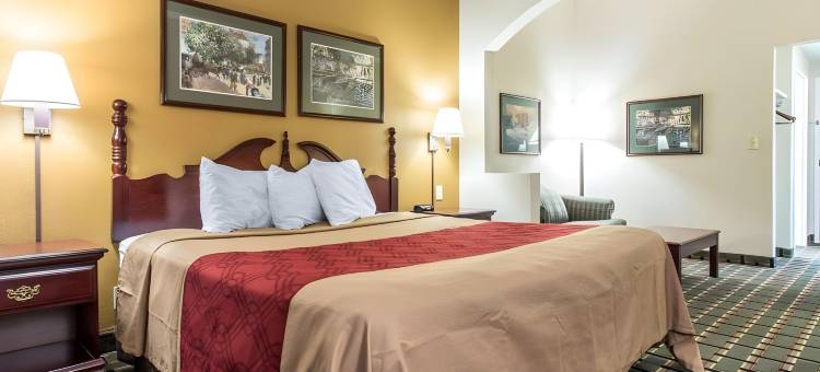 伊克诺套房旅馆(Econo Lodge Inn & Suites Marietta)图片