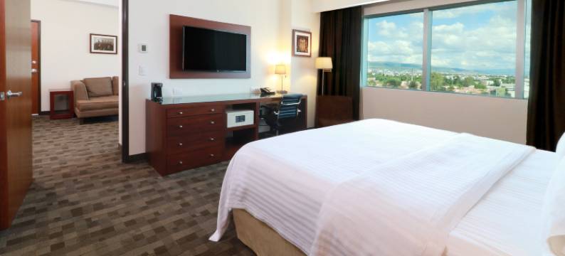 假日酒店-莱昂市长广场(Holiday Inn & Suites LEON PLAZA MAYOR by IHG)图片