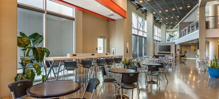 斯普林菲尔德维博贝斯特韦斯特酒店(Vib Best Western Springfield)图片