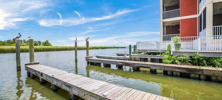 水街酒店和码头, 凯悦臻选酒店(Water Street Hotel & Marina, Ascend Hotel Collection)图片