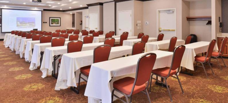 印第安纳波利斯卡梅尔希尔顿花园酒店(Hilton Garden Inn Indianapolis/Carmel)图片