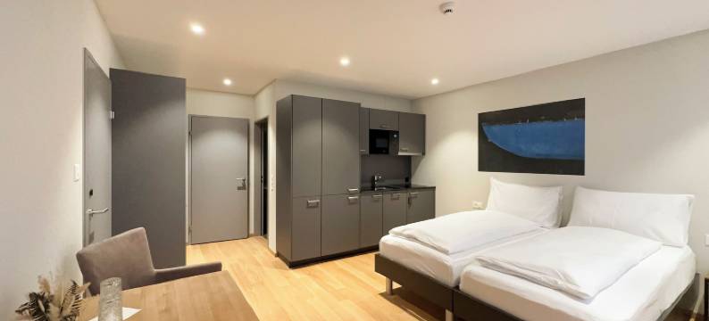 Beinwil am See公寓酒店(Aparthotel Beinwil am See)图片