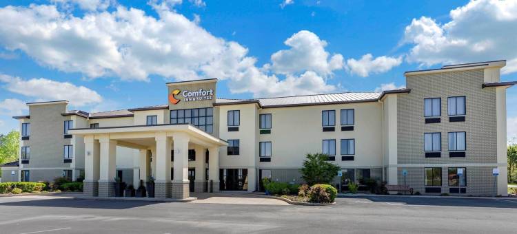 林肯I-20舒适套房酒店(Comfort Inn & Suites Lincoln I-20)图片