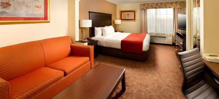 达勒斯机场舒适套房酒店(Comfort Suites Dulles Airport)图片