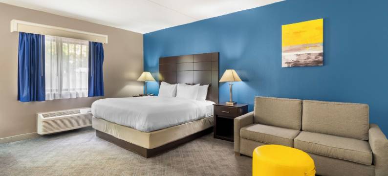 曼德林 - 弗农希尔斯舒适套房酒店(Comfort Inn & Suites Mundelein-Vernon Hills)图片