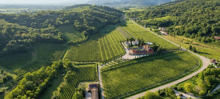 龙卡尔红酒度假村(Il Roncal Wine Resort - for Wine Lovers Only)图片