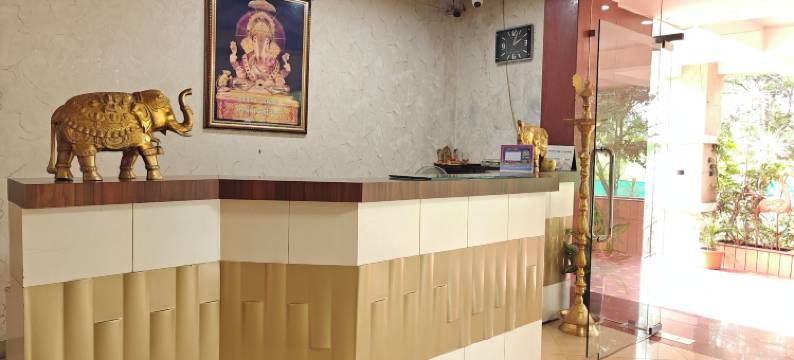 阿姆鲁塔行政酒店(Hotel Amruta Executive)图片