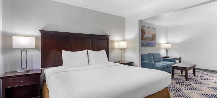 泰劳南园贝斯特韦斯特优质套房酒店(Best Western Plus Southpark Inn  Suites)图片