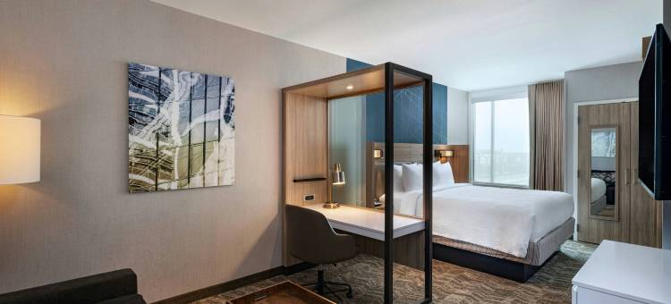 达拉斯理查森大学区SpringHill Suites酒店(SpringHill Suites Dallas Richardson/University Area)图片