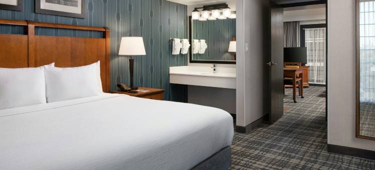 奥斯汀中央希尔顿安泊酒店(Embassy Suites by Hilton Austin Central)图片
