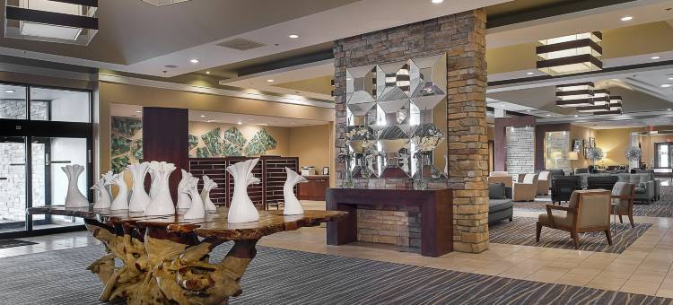 柯林斯威尔圣路易斯希尔顿逸林酒店(DoubleTree by Hilton Collinsville - St. Louis)图片