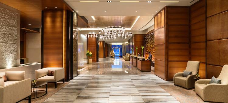 阿布扎比瑰丽酒店(Rosewood Abu Dhabi)图片