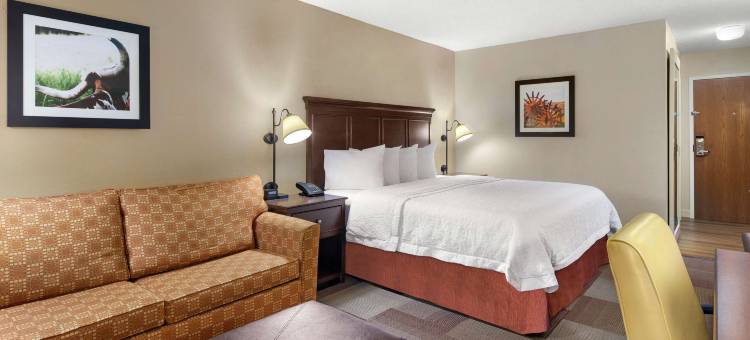 达拉斯欧文拉斯科琳娜欢朋酒店(Hampton Inn Dallas/Irving-Las Colinas)图片