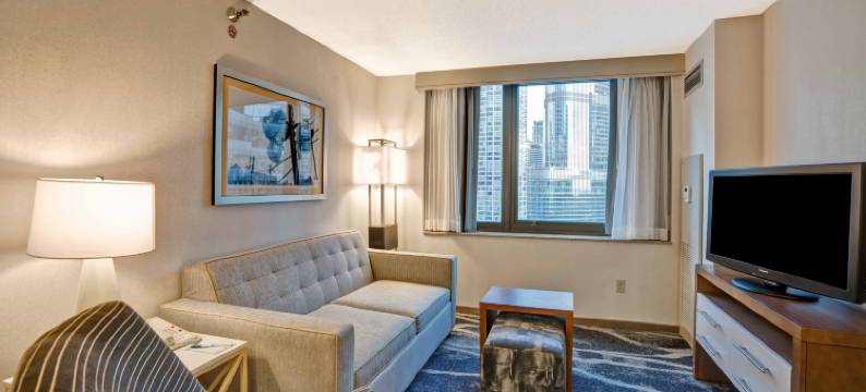 Homewood Suites by Hilton-芝加哥市中心(Homewood Suites by Hilton Chicago Downtown)图片
