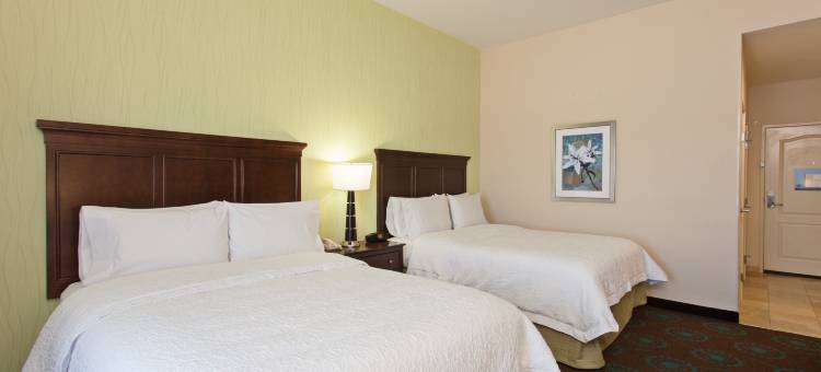 希尔顿欢朋酒店-洛杉矶国际机场霍索恩(Hampton Inn Los Angeles Int'l Airport/Hawthorne)图片