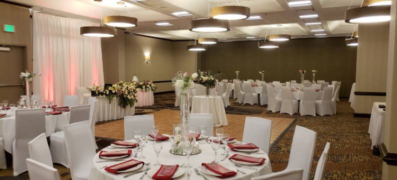 北西雅图林伍德希尔顿大使套房酒店(Embassy Suites by Hilton Seattle North Lynnwood)图片