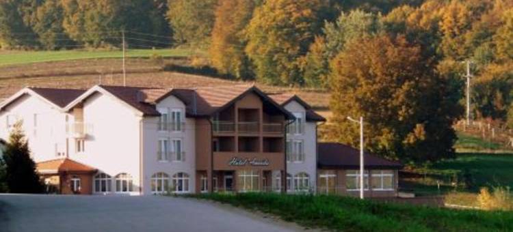 阿马里利斯酒店(Hotel Amarilis)图片