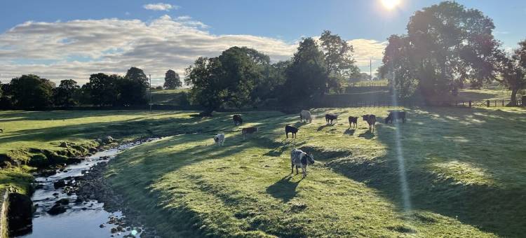 北斗星酒店(The Plough)图片