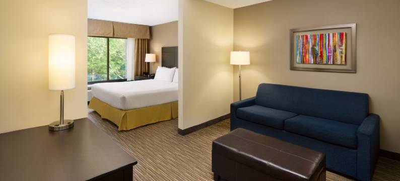 阿尔普哈雷塔智选假日酒店(Holiday Inn Express & Suites ALPHARETTA - WINDWARD PARKWAY by IHG)图片
