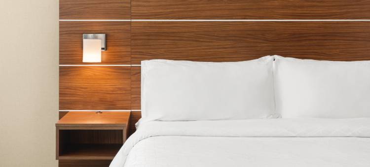 休森市纳帕谷区智选假日套房酒店(Holiday Inn Express & Suites SUISUN CITY by IHG)图片