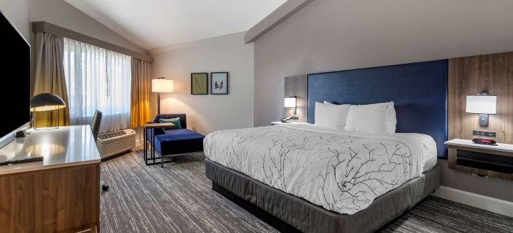 丹佛东方贝斯特韦斯特精品酒店(Best Western Premier Denver East)图片