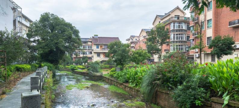 山竹公寓(杭州西溪湿地南地铁站店)图片