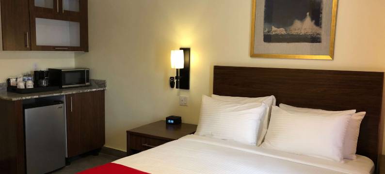 洛金斯贝斯特韦斯特SureStay精选酒店(The Lodgings Hotel SureStay Collection by Best Western)图片