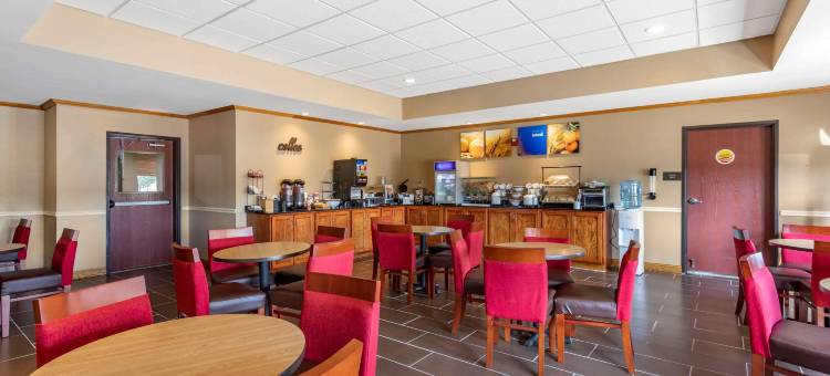 卡尔德本大学区舒适套房酒店(Comfort Inn & Suites Carbondale University Area)图片