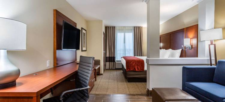 舒适套房酒店(Comfort Suites Bowling Green Southeast)图片